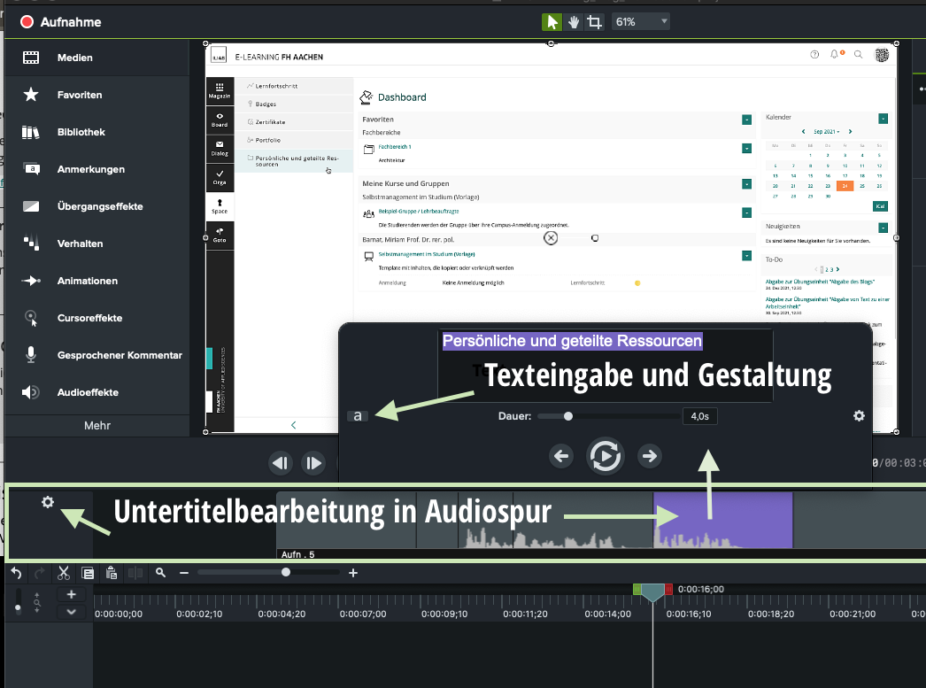 Screenshot aus Camtasia