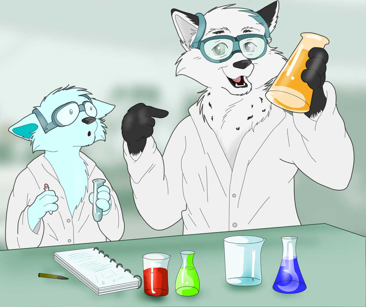 Physical Chemistry Laboratory Course