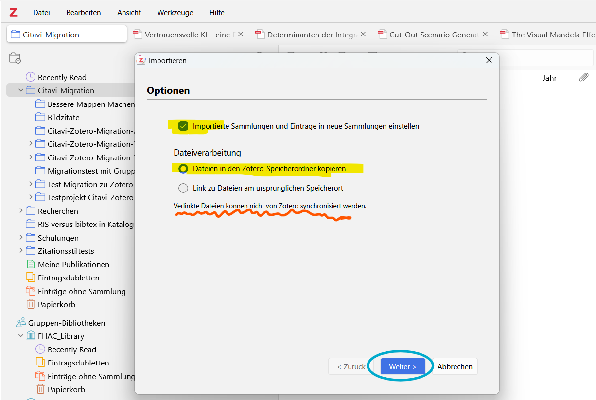 Screenshot Zotero Import-Optionen
