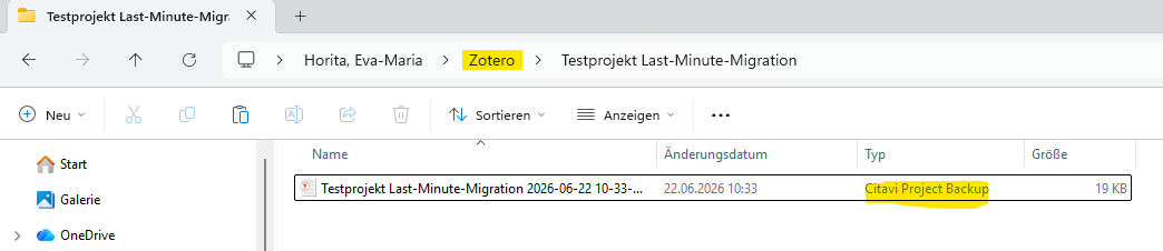 Screenshot Windows Explorer mit Kopie der Backup-Datei.