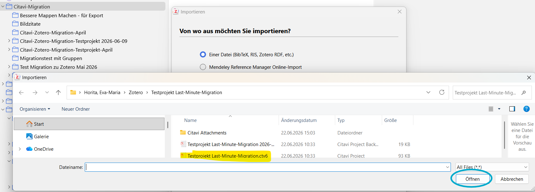 Screenshot Windows Explorer. Wahl der zu importierenden Datei