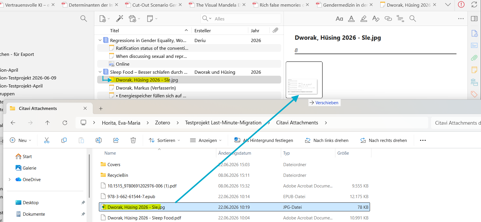 Screenshot Zotero - Bildzitat aus Explorer ergänzen