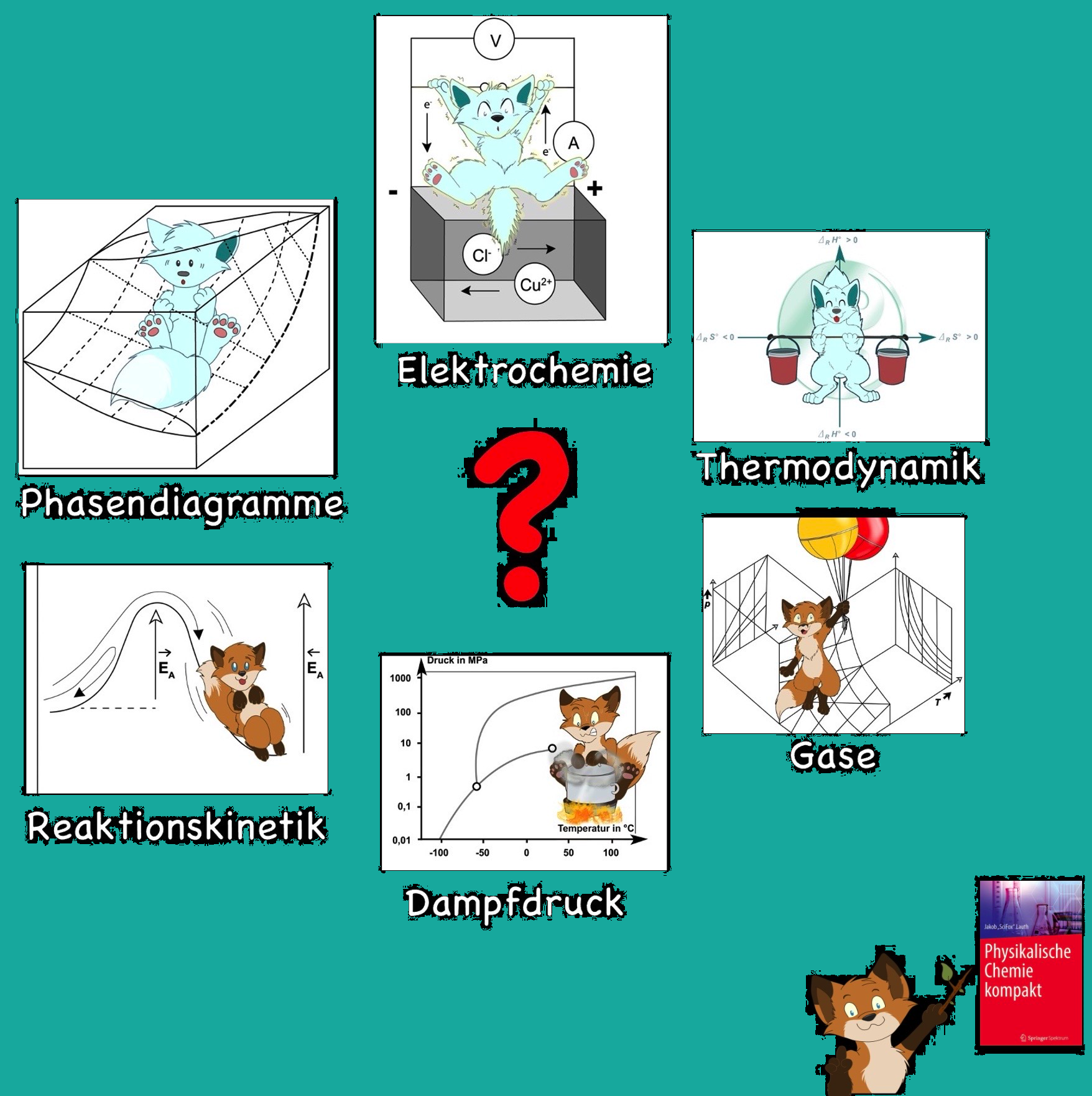 Physikalische Chemie kompakt - Text by SciFox, Illustrationen by Faelis